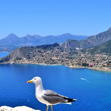 Amibarco Calpe